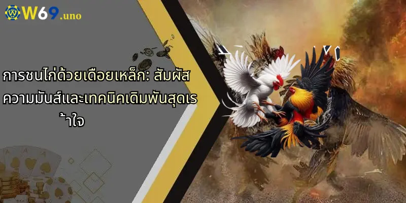 การชนไก่ด้วยเดือยเหล็ก: สัมผัสความมันส์และเทคนิคเดิมพันสุดเร้าใจ