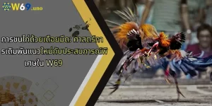 การชนไก่ด้วยเดือยมีด: ศาสตร์การเดิมพันแนวใหม่กับประสบการณ์พิเศษใน W69